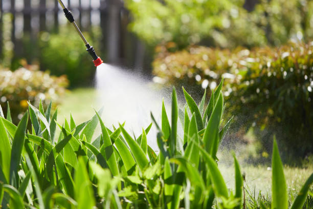 24/7 Emergency Ant Control experts in McComb, MS